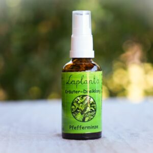Pfefferminze