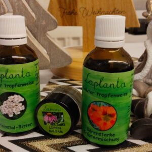 Set „Kräuterkraft“ – Stärkende Tropfen für Vitalität und Pflege für Körper und Sinne