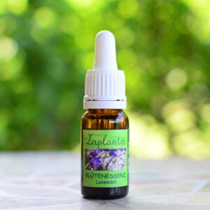 Blütenessenz Lavendel