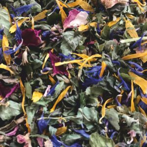 Nachfüllung Teevolution div. Sorten (1-15)