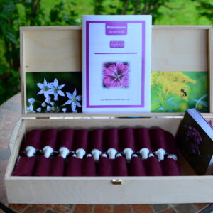 40 Blütenessenzen in Box incl. Kartenset