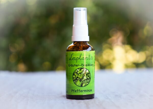 Pfefferminze