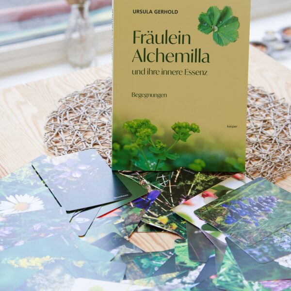 Friends for a better World Angebot