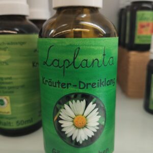 Gänseblümchen